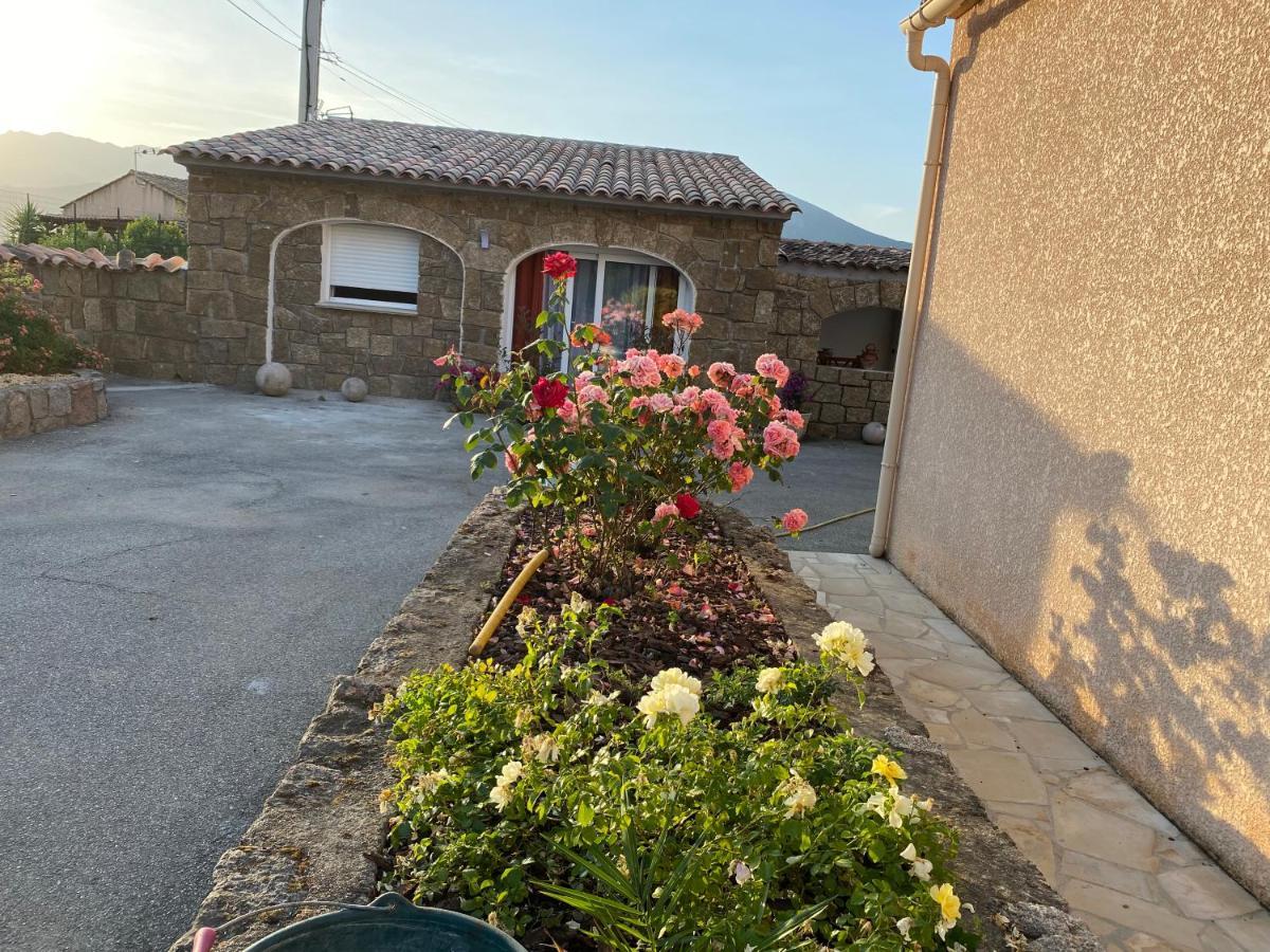 Petite Maison En Pierre * Afa
